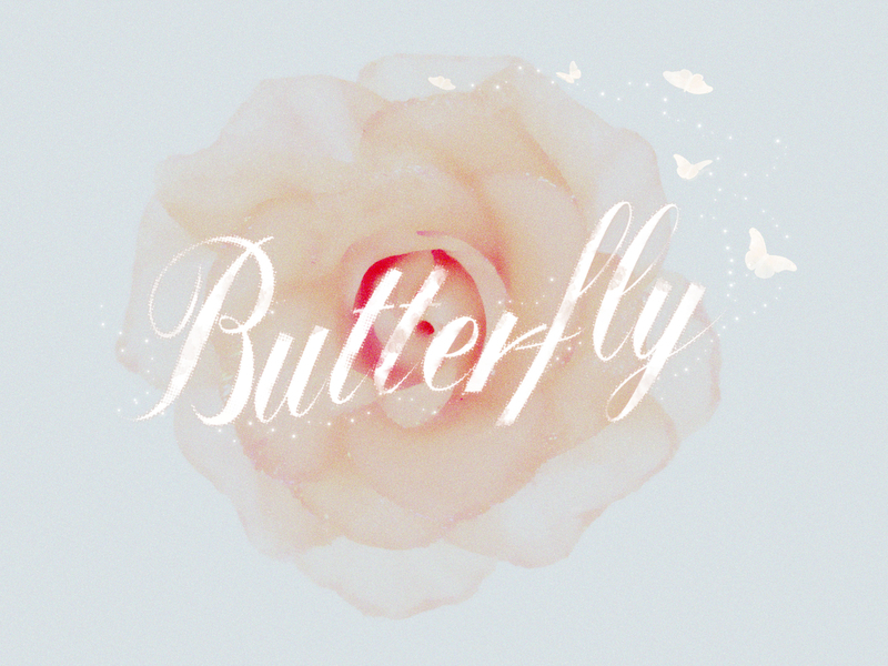Butterfly (Single)