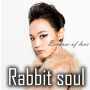 Rabbit Soul