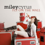 Fly On The Wall (Jason Nevins Radio Edit)