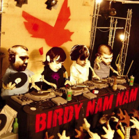 Birdy Nam Nam