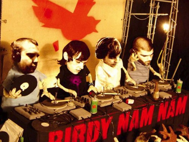 Birdy Nam Nam