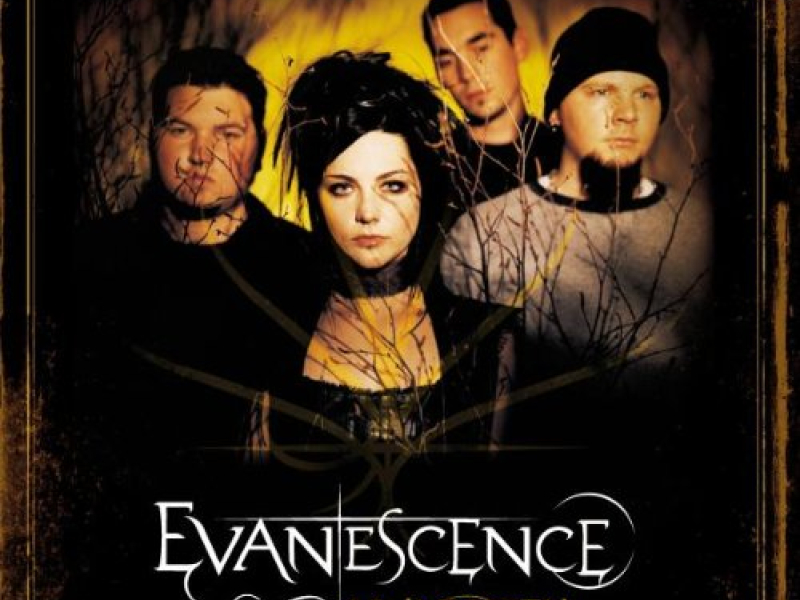 My Immortal - UK Single