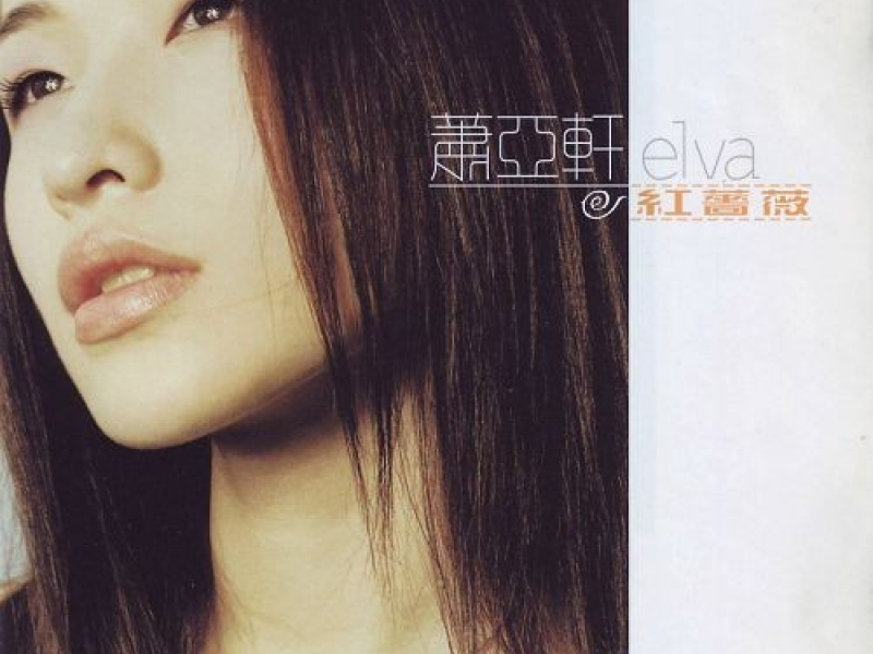 红蔷薇 / Tường Vy Đỏ