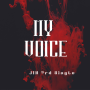 My Voice