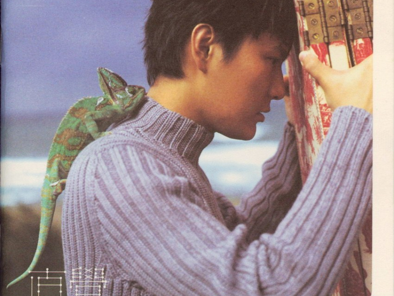 直觉/ Trực Giác