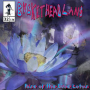 Rise Of The Blue Lotu