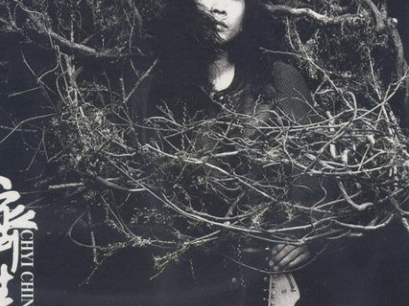 无情的雨无情的你/ Mưa Vô Tình, Em Vô Tình