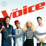 Don't Get Around Much Anymore (The Voice 2015 Blind Audition)