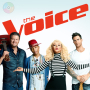 Superstar (The Voice 2015 Blind Audition)