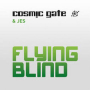 Flying Blind (Norin & Rad Remix)