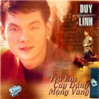 Trả Em Cay Đắng Mộng Vàng