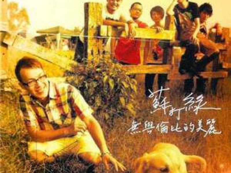 无与伦比的美丽 / Vẻ Đẹp Không Gì Sánh Bằng