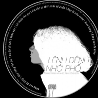 Lênh Đênh Nhớ Phố