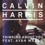 Thinking About You [Laidback Luke Remix]