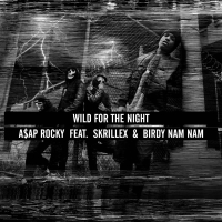 Wild For The Night (Single)