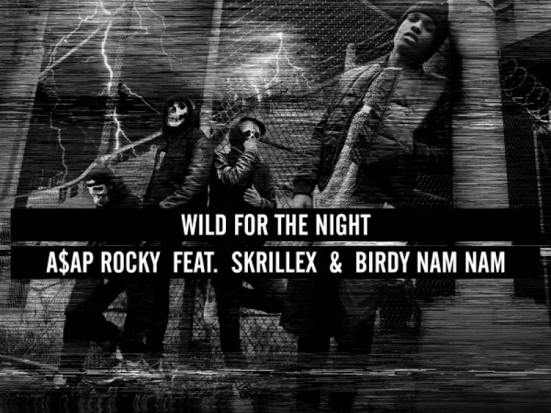 Wild For The Night (Single)