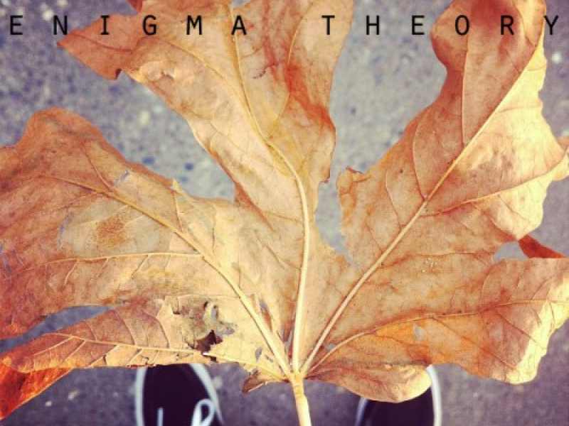 Enigma Theory