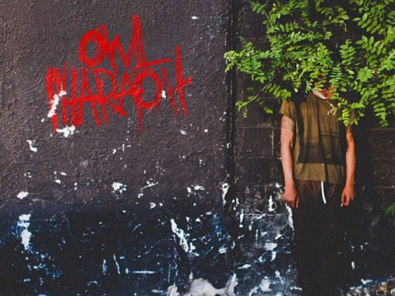 Owl Pharaoh