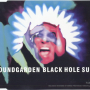 Black Hole Sun