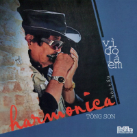 Tòng Sơn Hòa Tấu Harmonica - Vì Đó Là Em