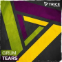 Tears (Kassey Voorn Remix)
