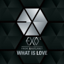 What Is Love (Korea)