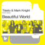 Beautiful World [Torqux Remix]
