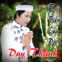 Tai Biến Của Đời