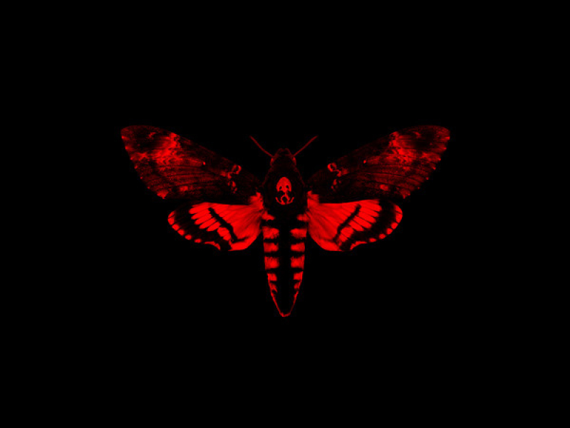 I Am Not A Human Being II (Deluxe Version)