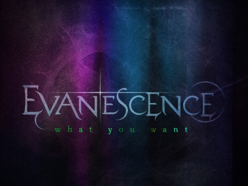 What You Want (CD Single)