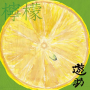 檸檬 (Lemon)