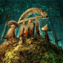 Astrix On Mushrooms