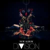 Division: Fragment [Artery]