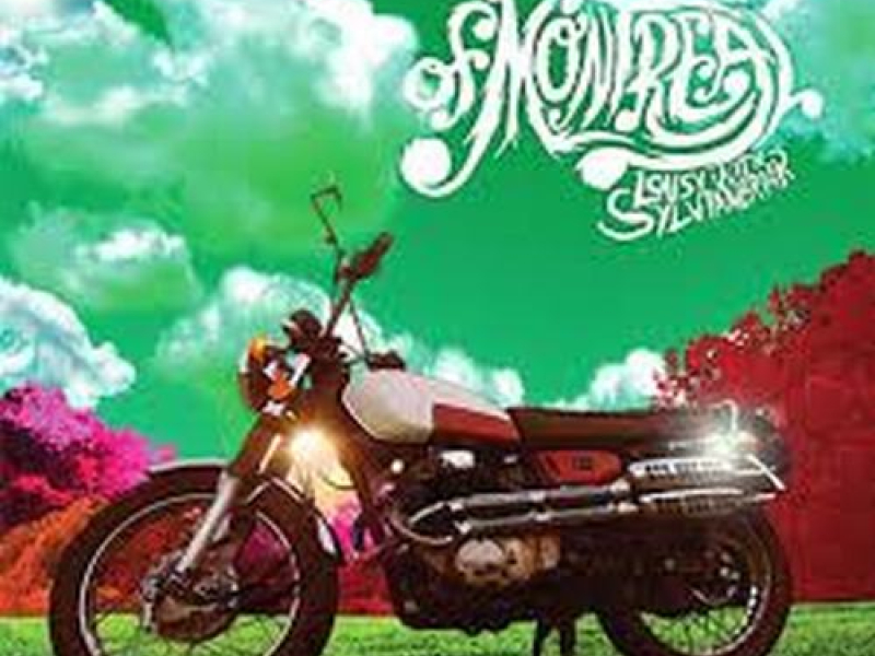 Lousy With Sylvianbriar