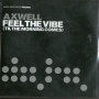 Feel The Vibe (Seamus Haji Big Love Remix)