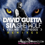 She Wolf (Falling To Pieces) (Sandro Silava Remix)