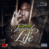 Juvenile Life (CD2)