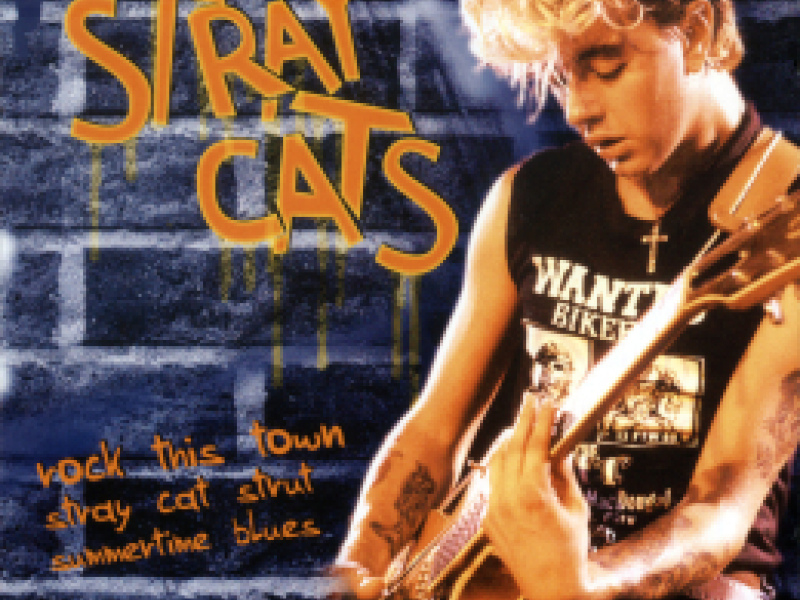 Stray Cats (Time Edition)