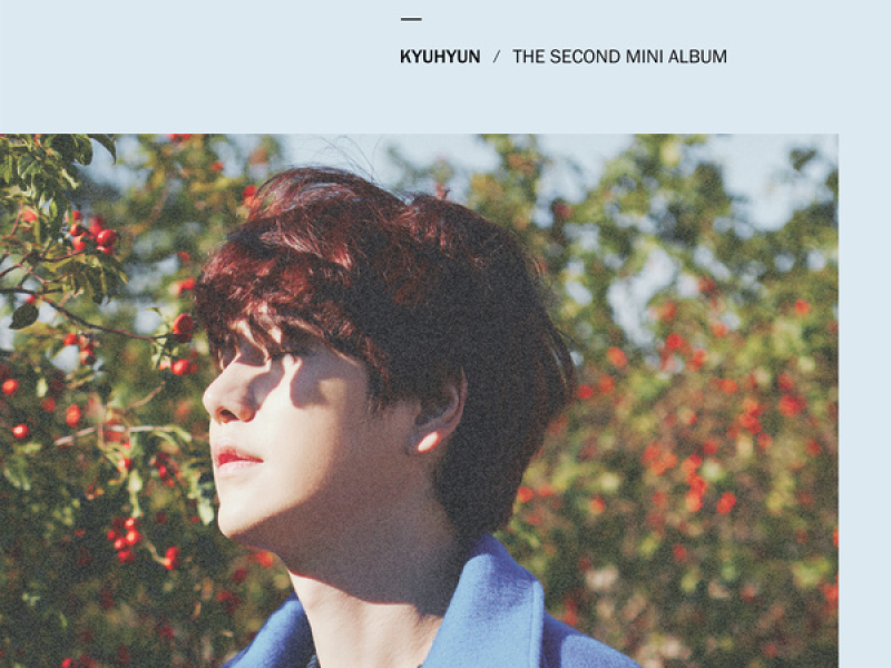 Fall, Once Again (2nd Mini Album)