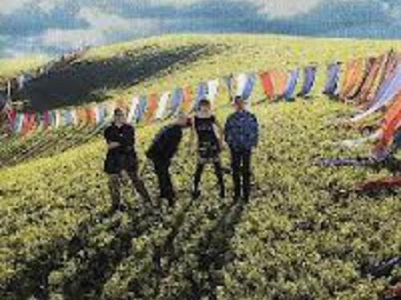 Benvenuti A Sausalito