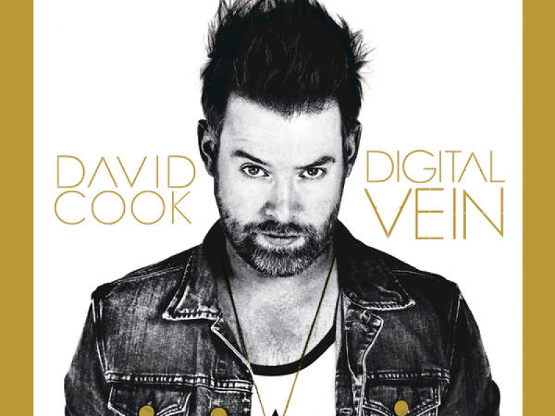 Digital Vein (Deluxe Version)