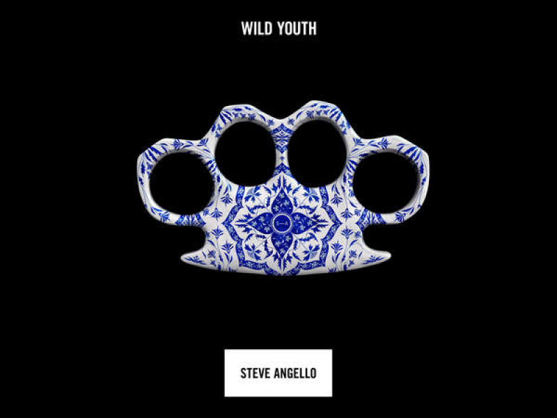 Wild Youth