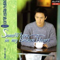 Some Where In My Broken Heart