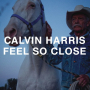 Feel So Close (Dillon Francis Remix)
