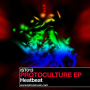 Protoculture (Original Mix)