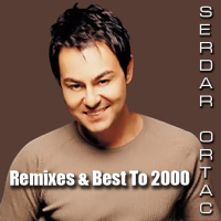 Remixes & Best To 2000