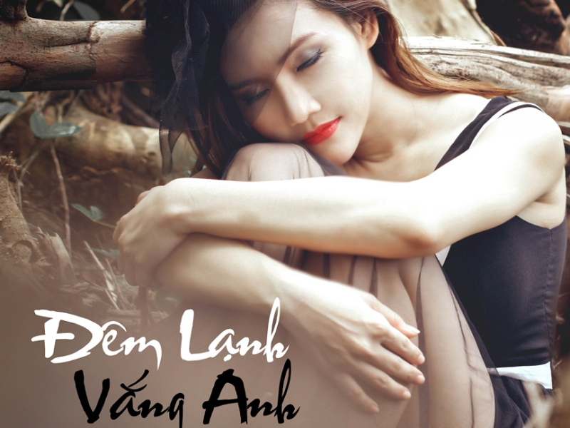 Đêm Lạnh Vắng Anh