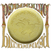 Psychedelic Pill (CD2)