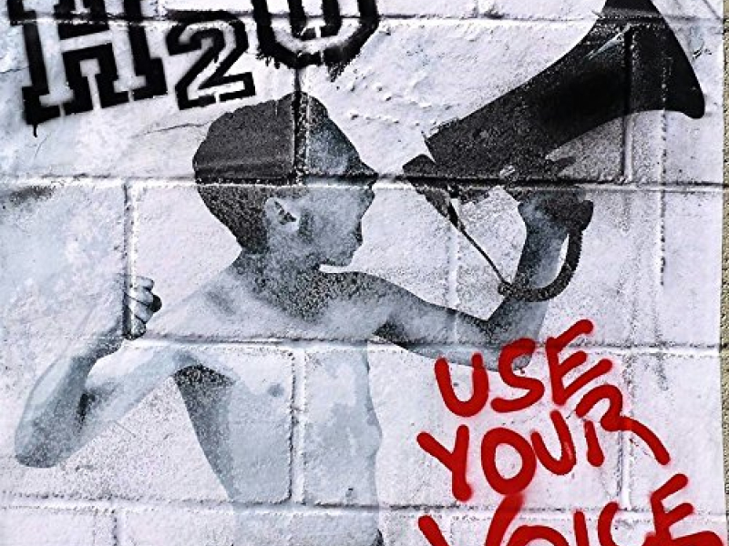 Use Your Voice