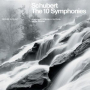 Schubert: Symphony No.4 In C Minor, D.417 - Tragic - 2. Andante